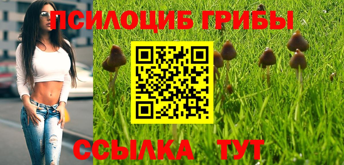 закладка  Вход с VPN  Галлюциногенные грибы мицелий  Дмитров  Псилоцибиновые грибы мицелий 