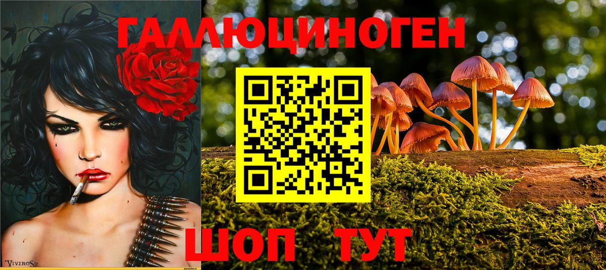 Псилоцибиновые грибы GOLDEN TEACHER Дмитров